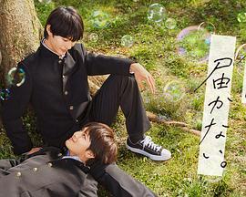 91 天美在线观看